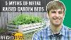 5 Misconceptions Of Metal Raised Garden Beds Bright Ideas Episode 12