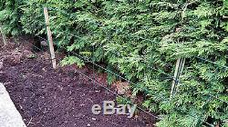 FlexiPanel Foldable Dog Barrier Fencing Gate Run Pen Fence Garden-1 Metre High