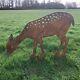Garden Statue Of A Deer, Big Selection Of Lawn Decorations All Made In The U. K