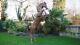Giant Life Size Rearing Horse 330 Cm Home/garden Art Statue Ornament Sculpture