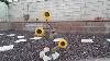 Search For Succulents Metal Art Sunflowers My Backyard Garden 2023 0720