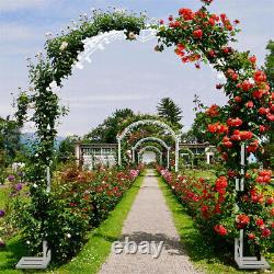 Élégant arc de mariage en métal à double rails parallèles Treillis de jardin arc de mariage