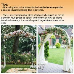 Élégant arc de mariage en métal à double rails parallèles Treillis de jardin arc de mariage